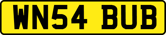 WN54BUB