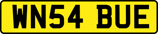WN54BUE