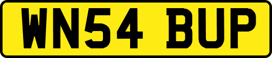 WN54BUP