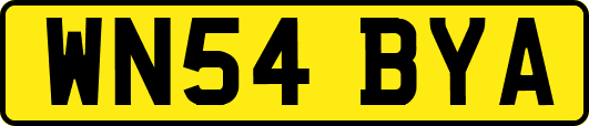 WN54BYA