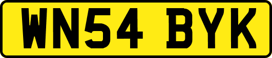 WN54BYK