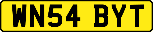 WN54BYT