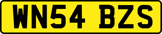 WN54BZS