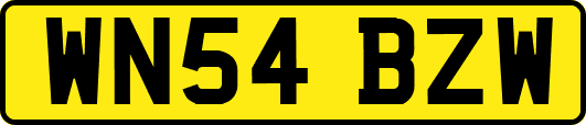 WN54BZW