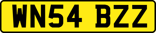 WN54BZZ