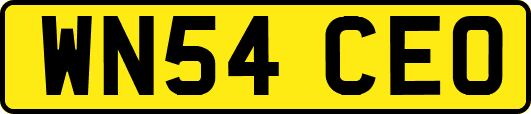 WN54CEO