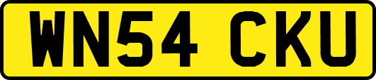 WN54CKU