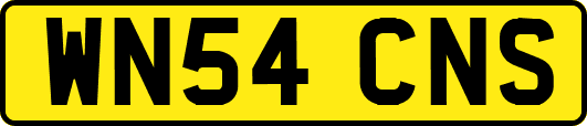 WN54CNS