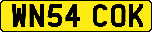 WN54COK