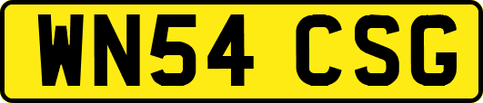 WN54CSG