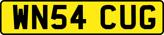 WN54CUG