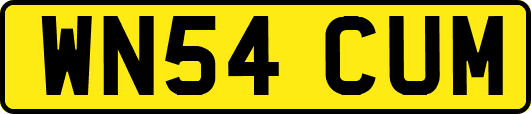 WN54CUM