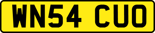 WN54CUO