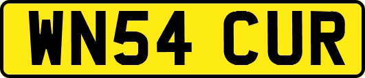 WN54CUR