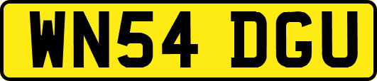 WN54DGU