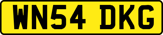 WN54DKG