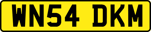 WN54DKM