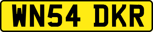 WN54DKR