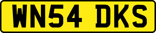 WN54DKS