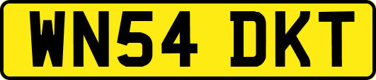 WN54DKT