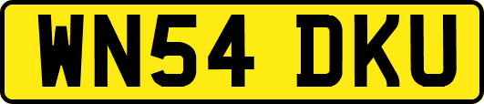 WN54DKU