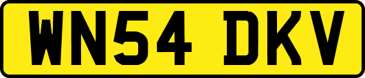 WN54DKV