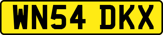 WN54DKX