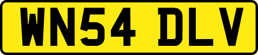WN54DLV