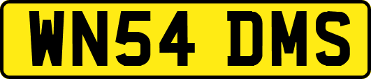 WN54DMS