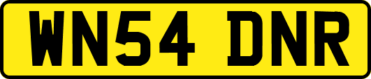 WN54DNR
