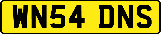 WN54DNS