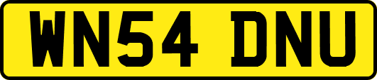 WN54DNU