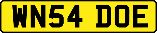 WN54DOE