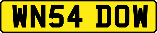 WN54DOW
