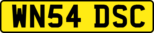 WN54DSC