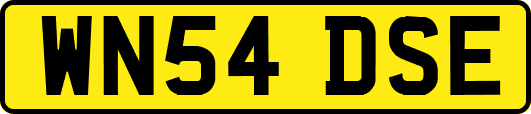 WN54DSE