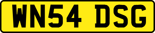 WN54DSG