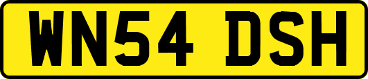 WN54DSH