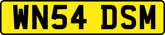 WN54DSM