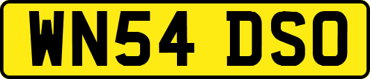 WN54DSO