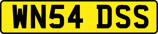 WN54DSS