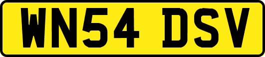WN54DSV