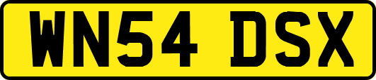 WN54DSX