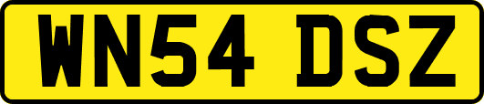 WN54DSZ