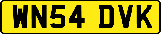 WN54DVK