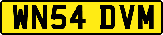 WN54DVM
