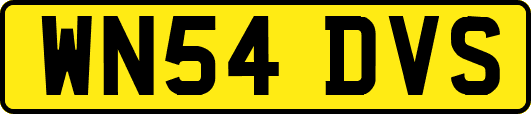 WN54DVS