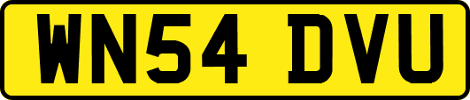 WN54DVU