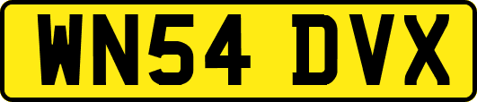 WN54DVX
