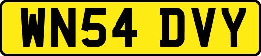 WN54DVY